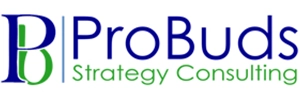 logo of ProBuds Strategy specializing in compliance management, startup management, business process improvements, financial reporting