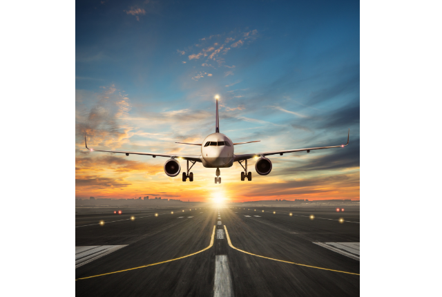 picture of an airplane landing in India carrying business executives from foreign countries