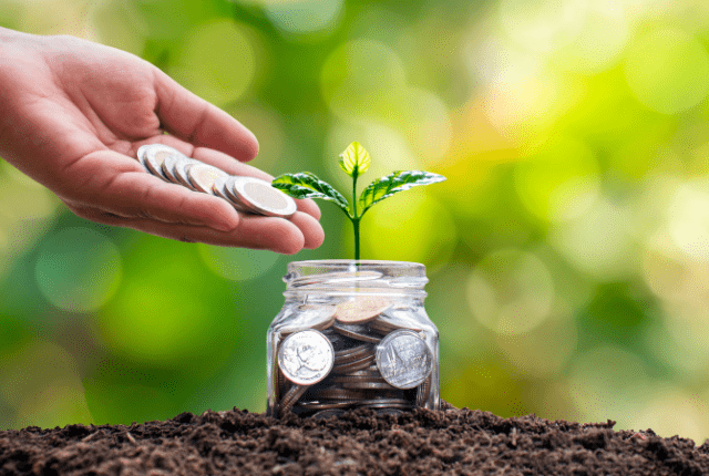 picture of a investment growing in a plant glass jar to show india investment advisory